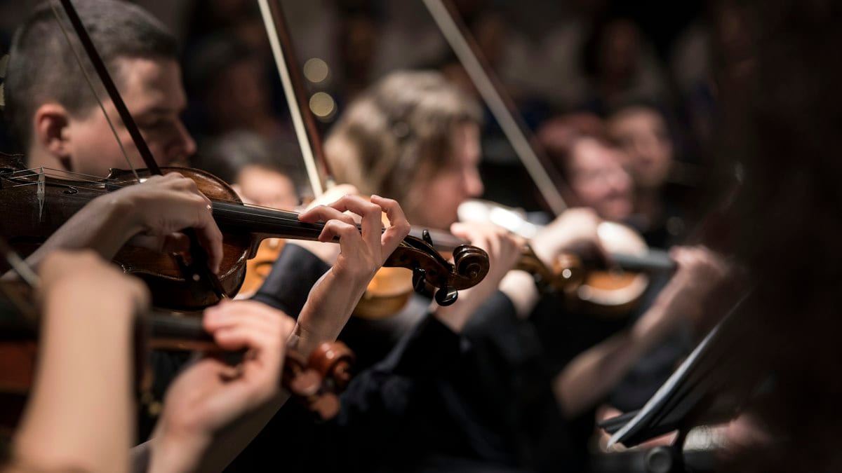 people playing violin inside dim room