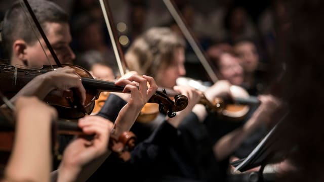 people playing violin inside dim room