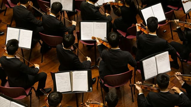 group of person playing violin