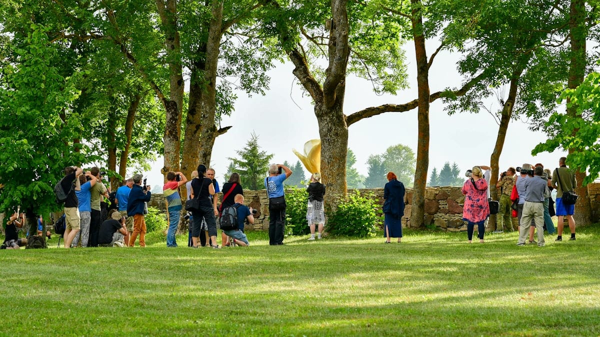 People watching a yellow object in a green park.