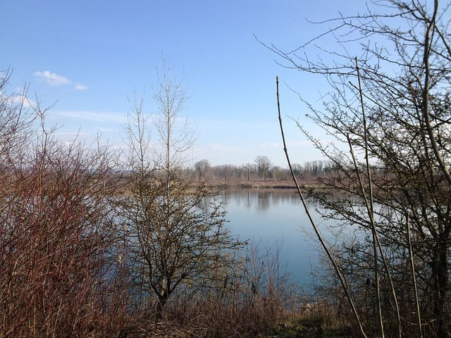 Grand Parc de Miribel-Jonage.