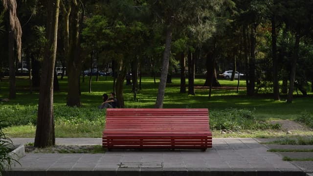 red wooden bench during daytime