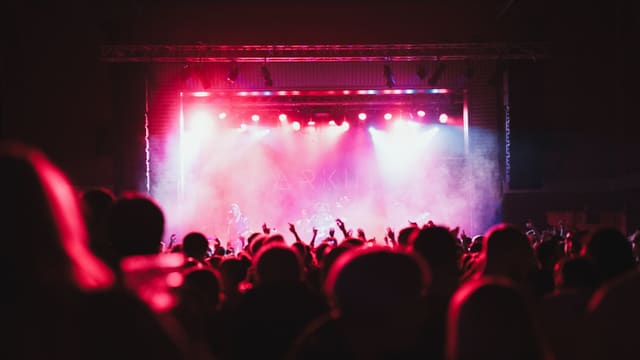 group of people enjoying concert