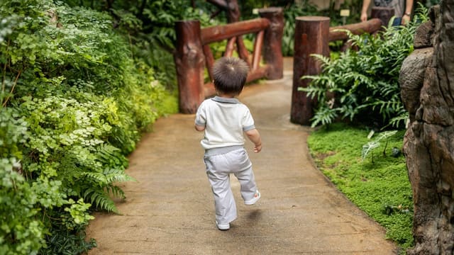 A young child walks along a lush green garden path.