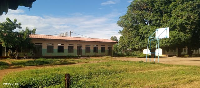 Salle de classe vide, rangées de tables et tableau