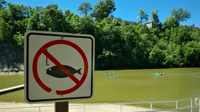 A "no fishing" sign stands by a river with kayakers