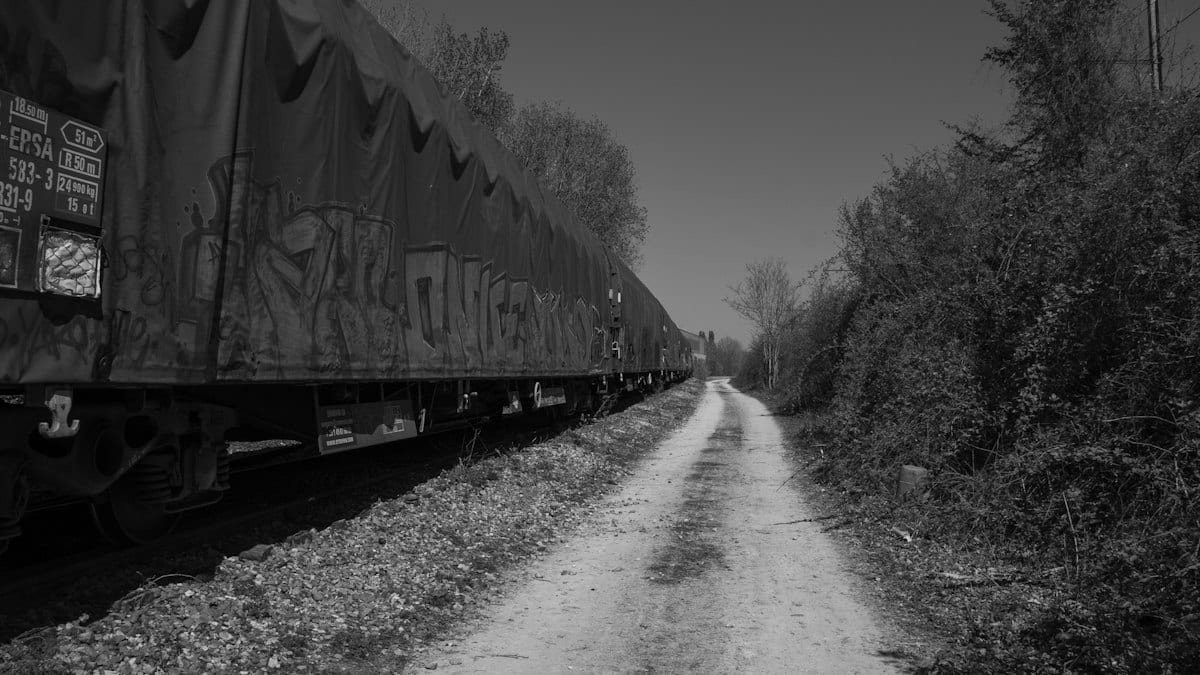 Un train de marchandises bâché, couvert de graffitis, longe un chemin de terre bordé de végétation, en noir et blanc.