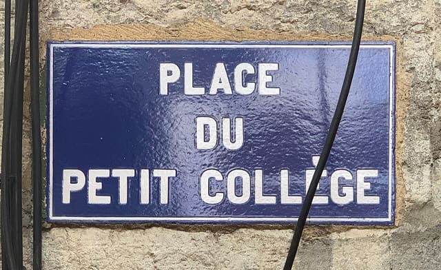 Place du Petit Collège (Lyon) - panneau de rue.