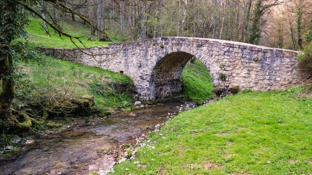 a stone bridge over a stream