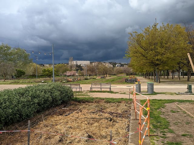 Parcelles cultivées et arbres.