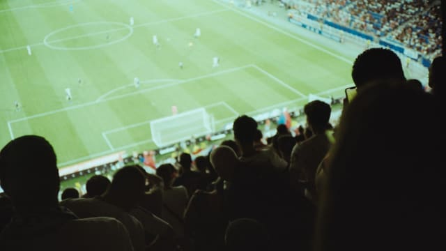 a crowd of people watching a soccer game