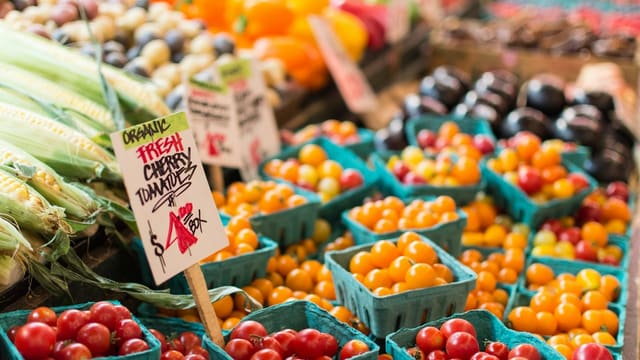 red tomato lot on blue baskets