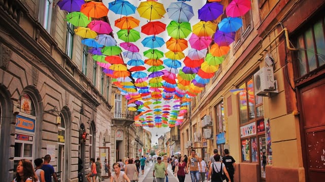 assorted-color umbrella hanged above pathway near houses