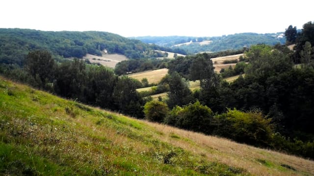Rolling green hills and forests under a bright sky