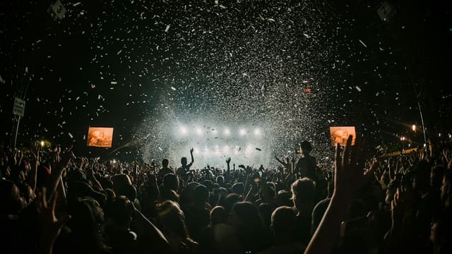 people gathering on concert field
