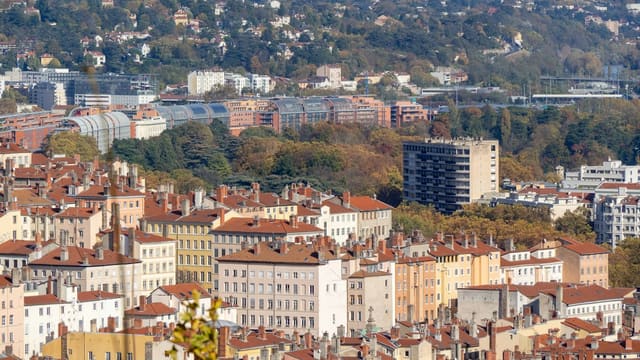 a city with lots of tall buildings and lots of trees