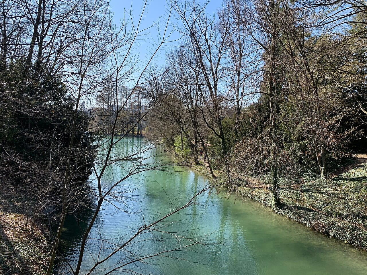 Cours d'eau bordé d'arbres aux branches nues dans un parc lyonnais, sous un ciel dégagé