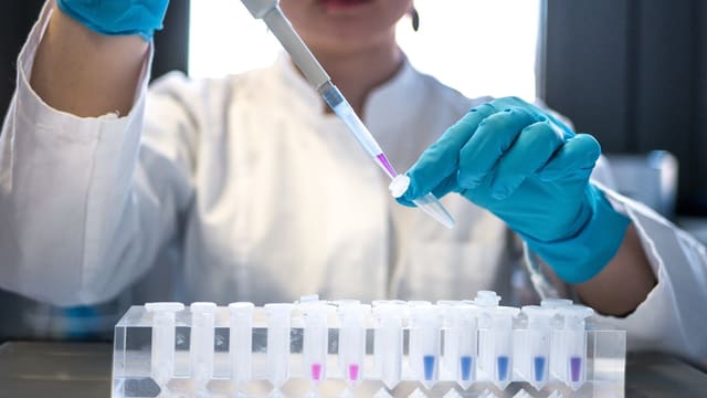 scientist using pipette with test tubes in lab
