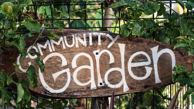 brown wooden welcome signage on green plants