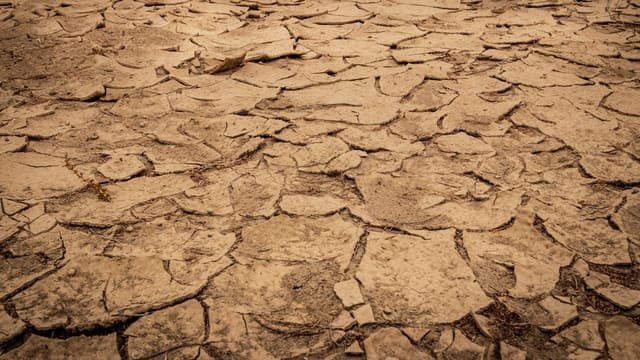 brown soil