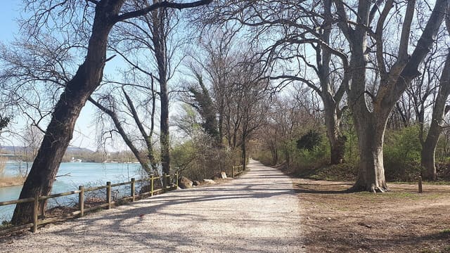 Le cheminement du bord du Rhône au Parc de la Feysinne à Villeurbanne.