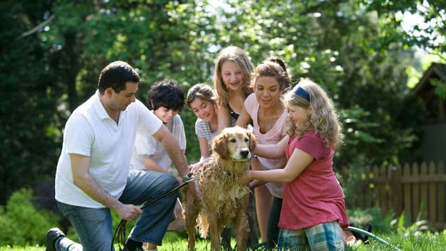 group of people standing on green grass field during daytime