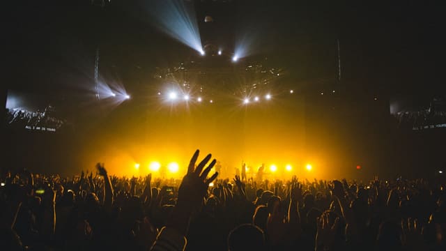 concert photos